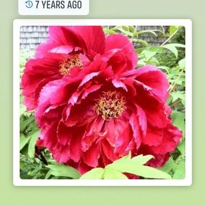 Meet your Posher, Judith